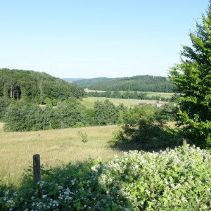 SpeiseReise HalloBio