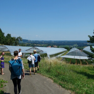 Hofführung am Biohof Pranger