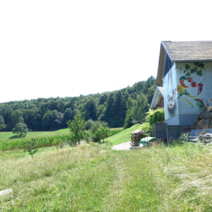 Hofführung am Biohof Pranger