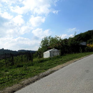 Besuch am Biohof Schweighofer im steirischen Apfelland